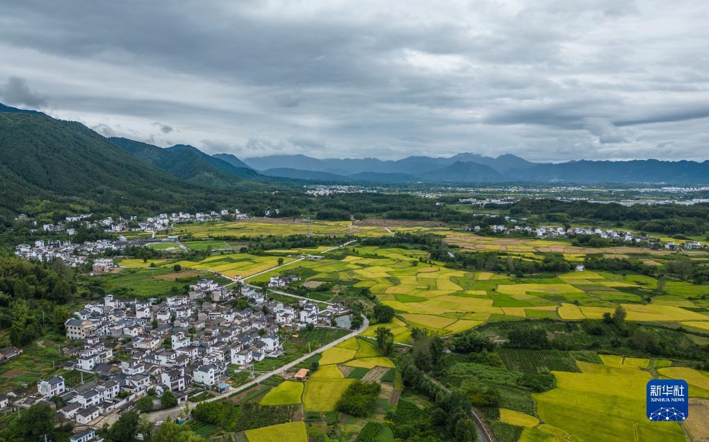 万彩平台
